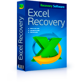 RS Excel Recovery Box