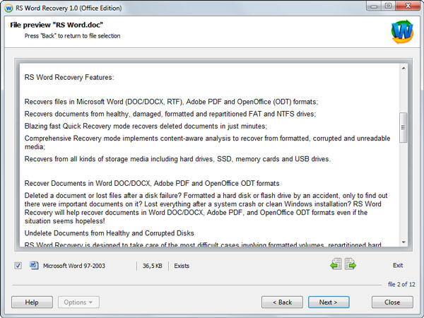 Word Recovery Software